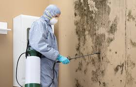 Best Water Damage & Mold Remediation  in Lwa, CA